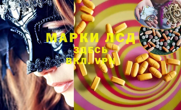 индика Тихвин