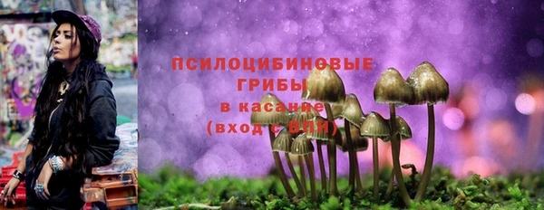 ALPHA PVP Арсеньев