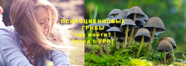 ALPHA PVP Арсеньев