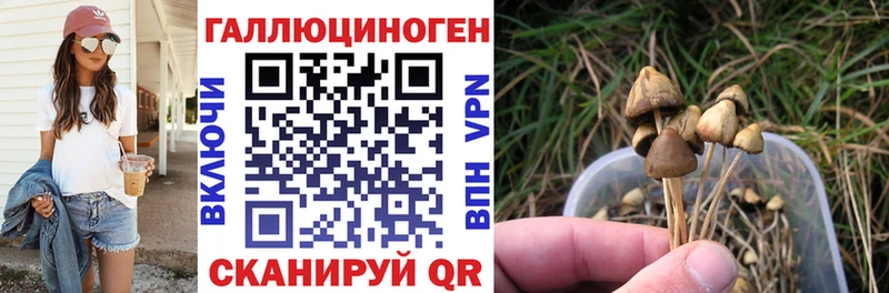 Галлюциногенные грибы мухоморы  купить наркотик  Мирный 